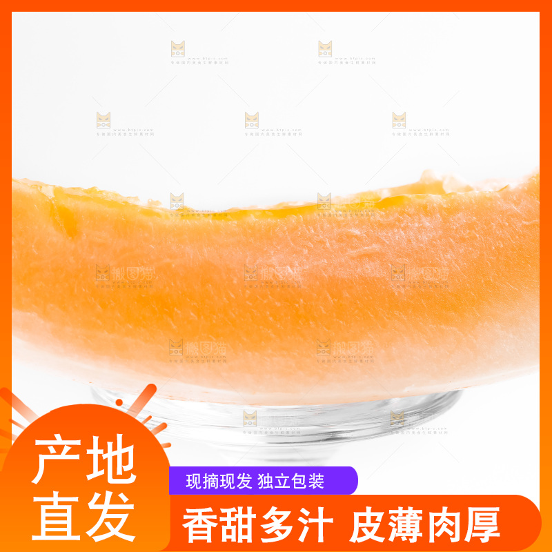 浅底上的东方蜜瓜