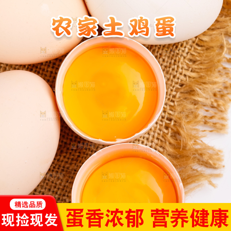 白底上的柴鸡蛋