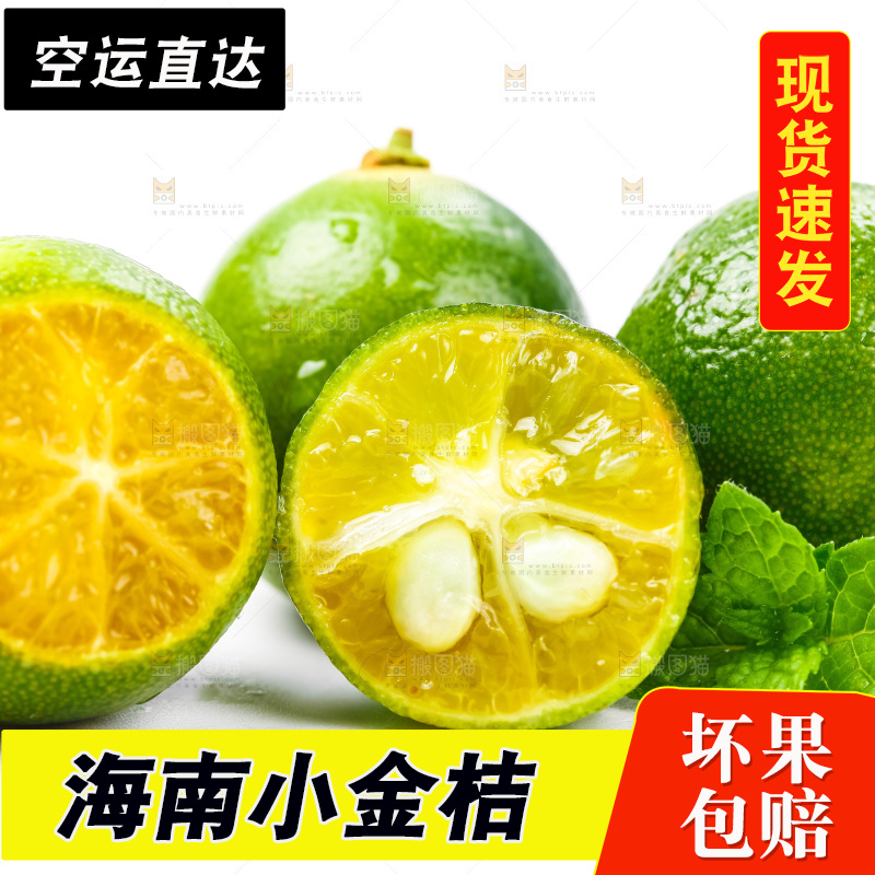 浅底上摆放着小金桔