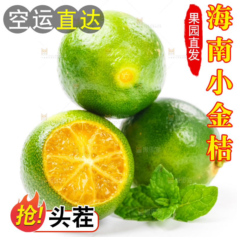 白底上放着小金桔