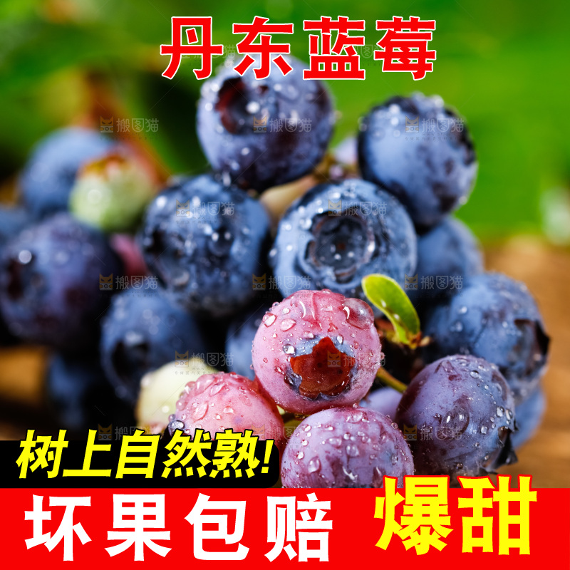 深底上摆放着蓝莓