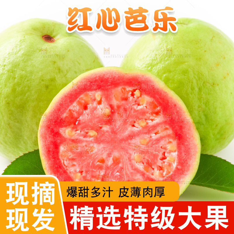 白底上摆放着红心番石榴