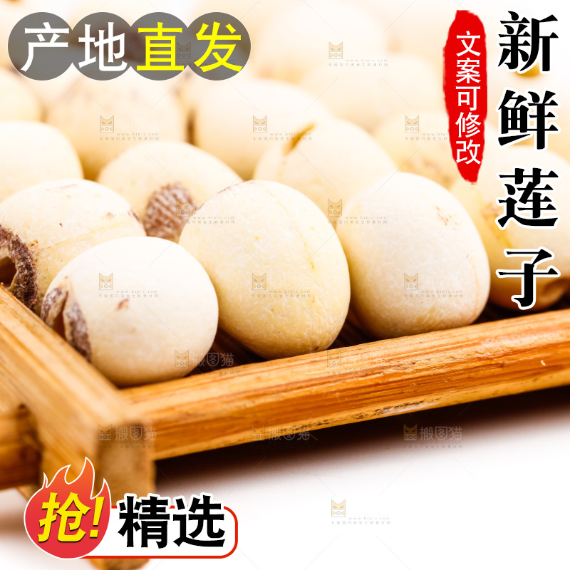 一盘江西白莲子放在白底上
