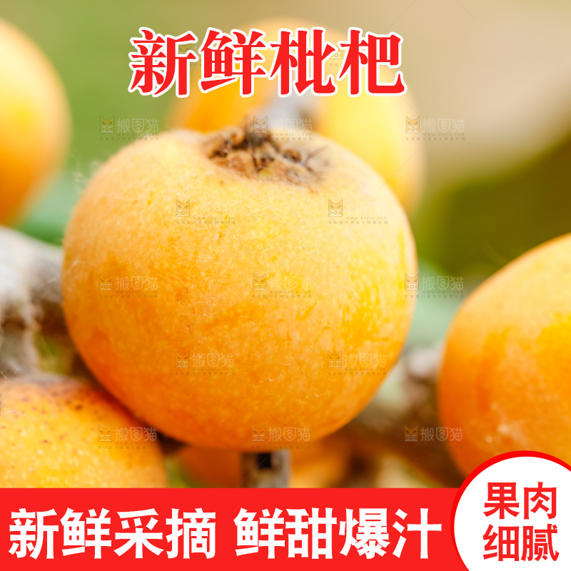户外的枇杷果