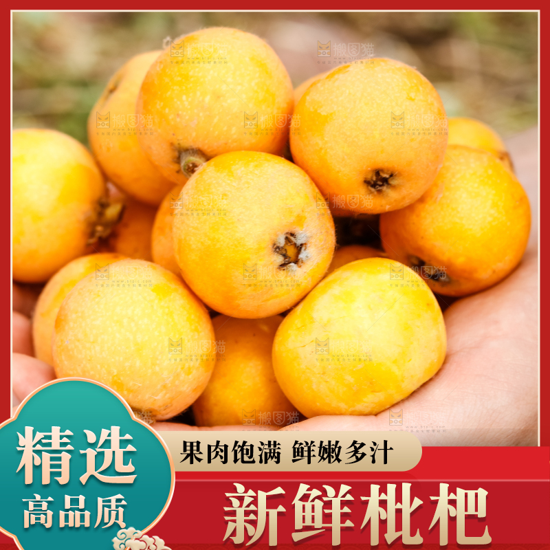 手里捧着枇杷