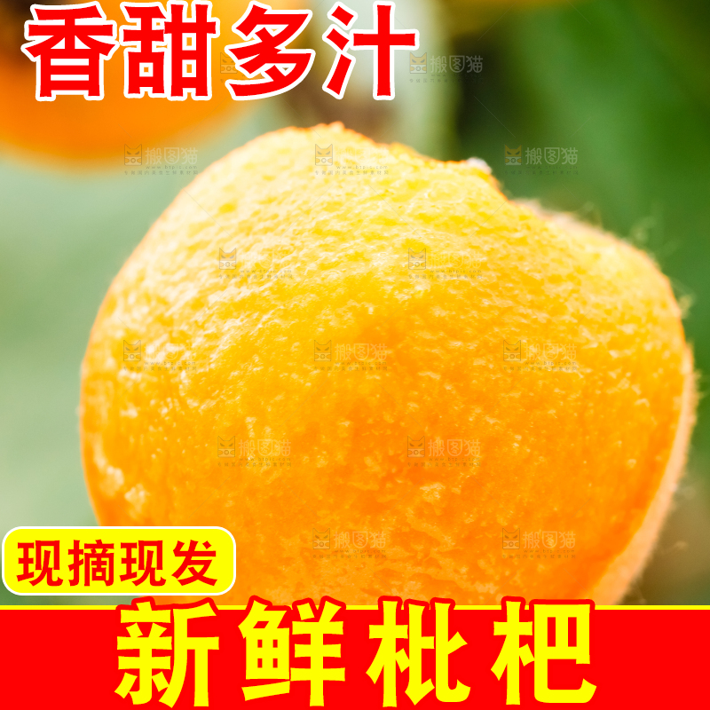 手里拿着枇杷果
