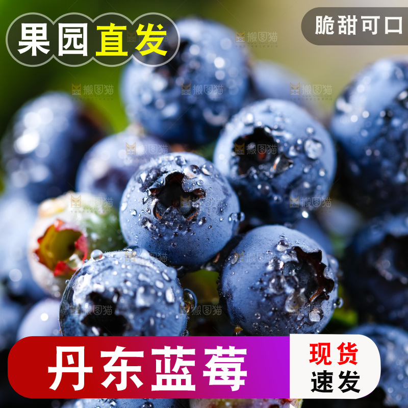 摆放着一堆的蓝莓