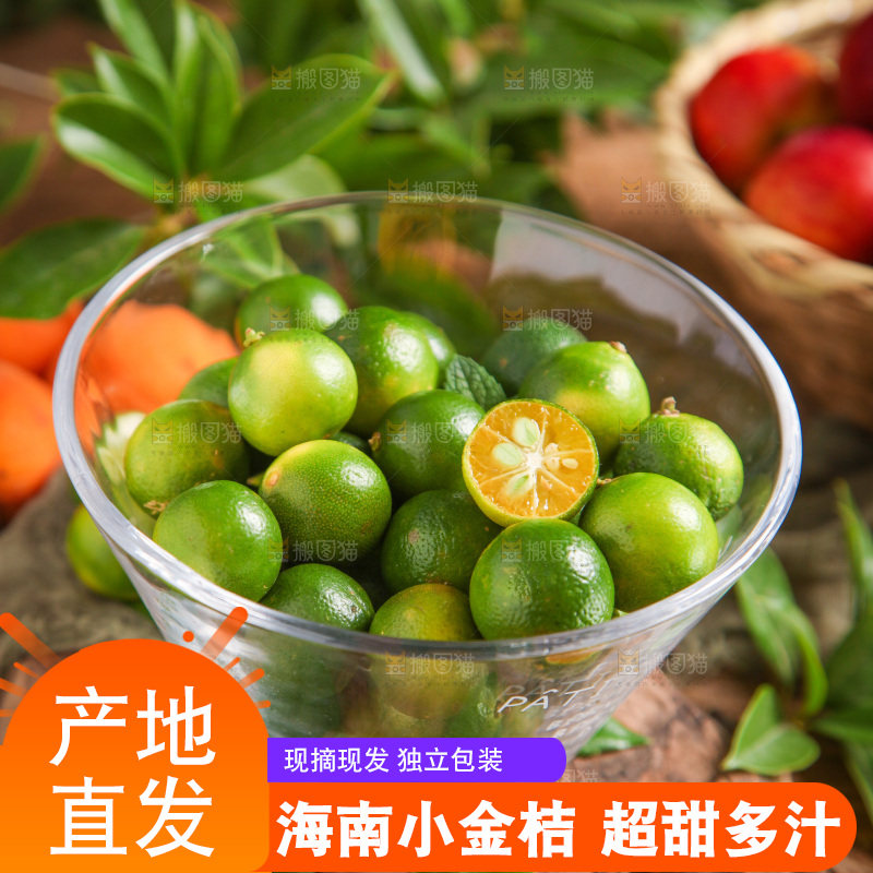 碟子里装着海南小金桔