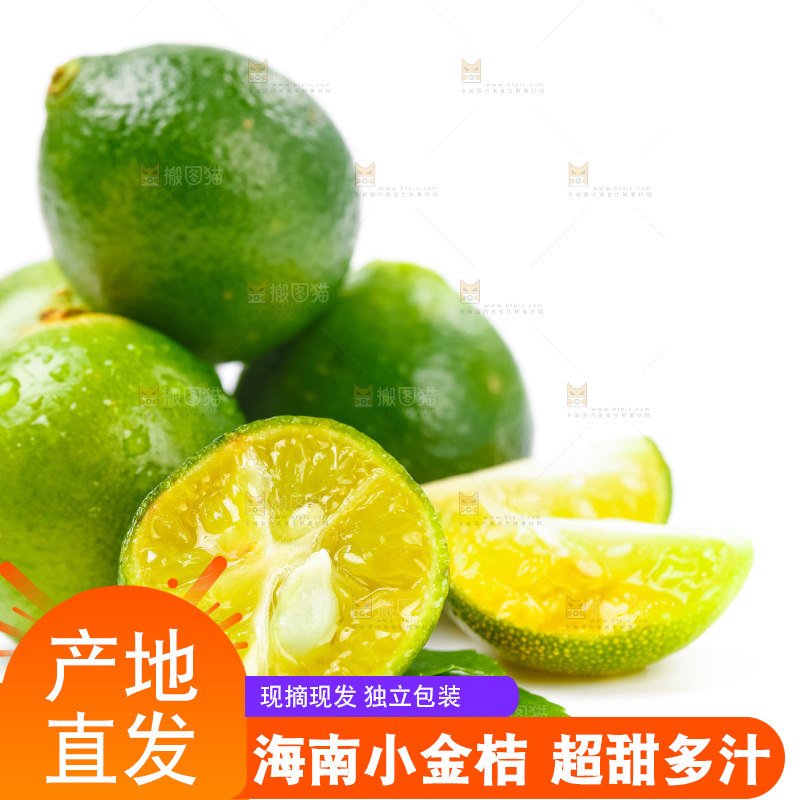 浅底上摆放着小金桔
