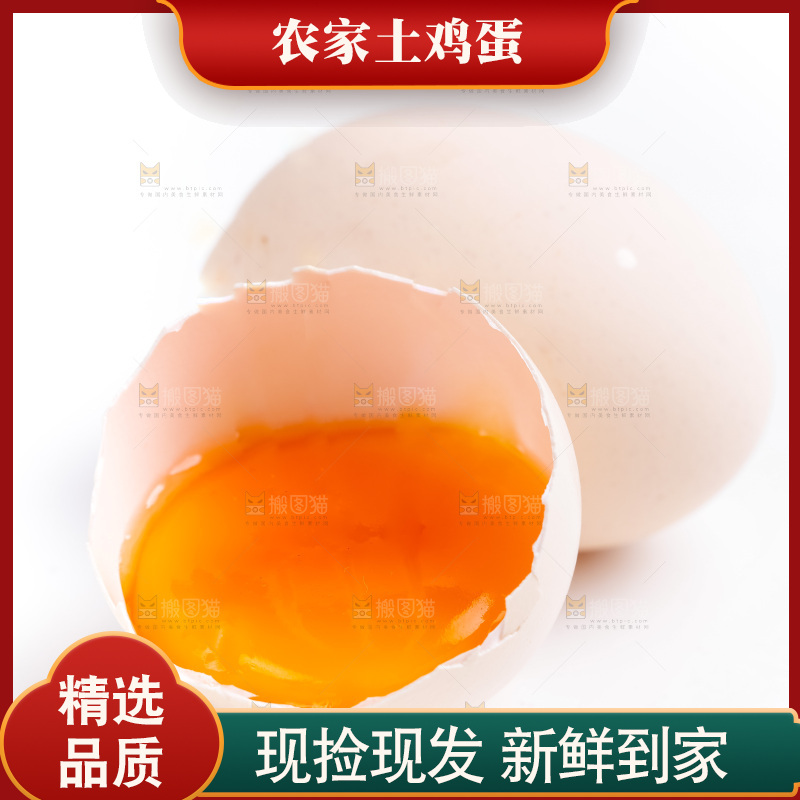 白底上的鸡蛋
