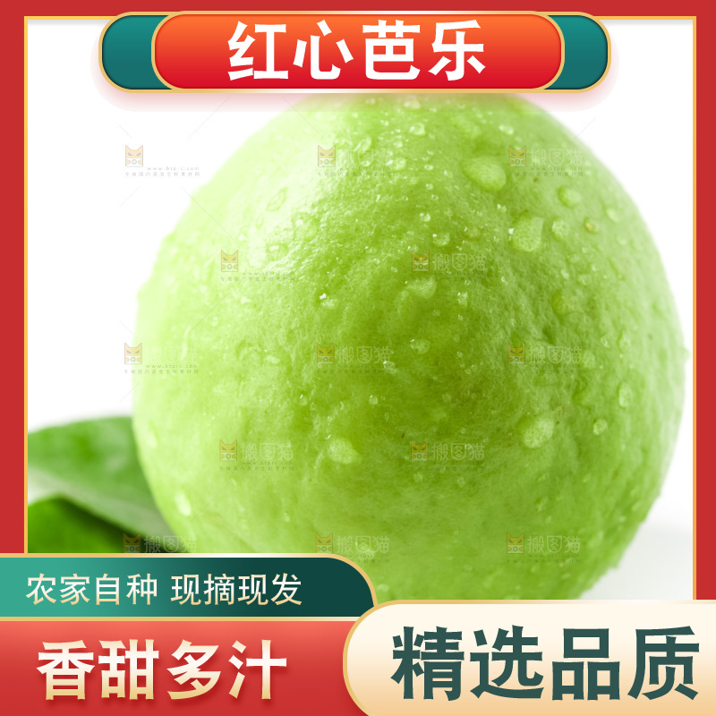 白底上放着芭乐果