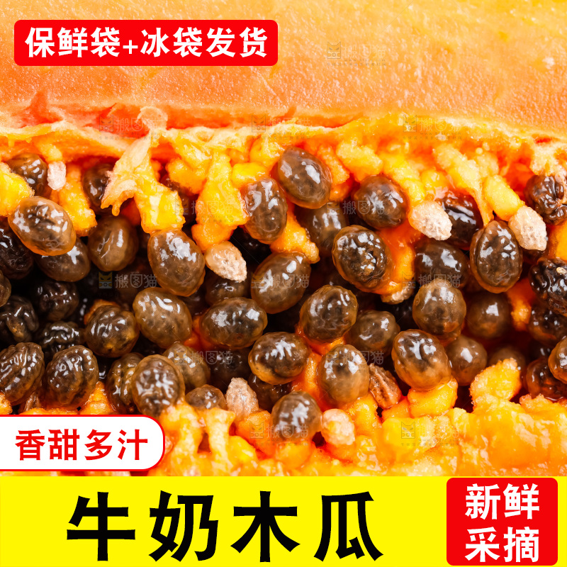 白底上放着海南红心木瓜
