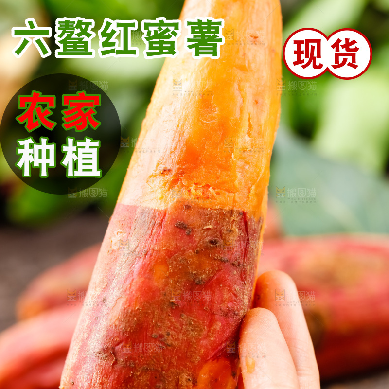 手里拿着蜜薯