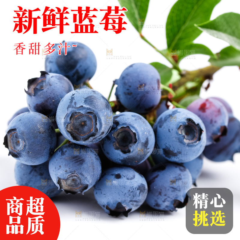 白底上摆放着蓝莓