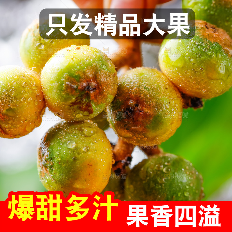 手里拿着新鲜枇杷