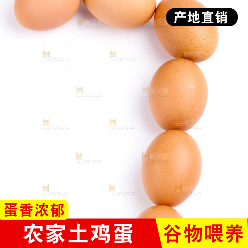 白底上放着散养鸡蛋