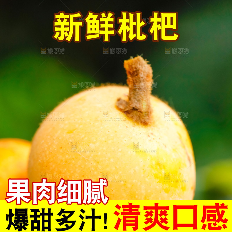 户外的枇杷果