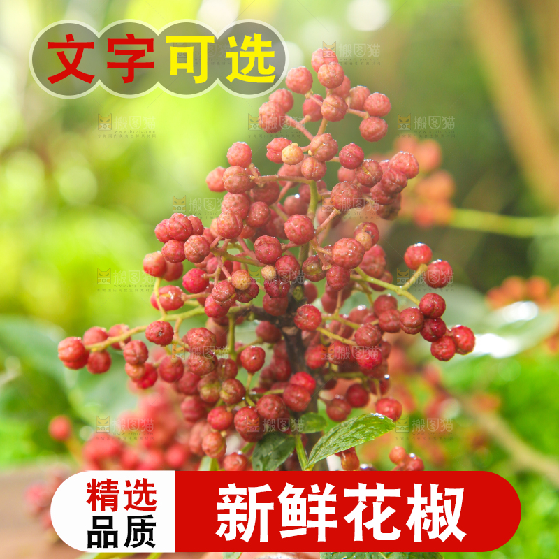 户外的红花椒
