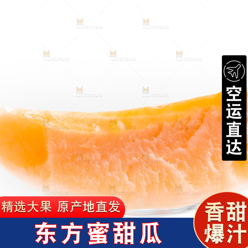 浅底上的东方蜜瓜