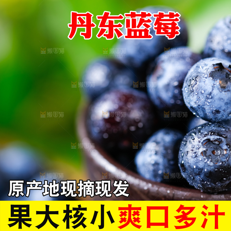 碟子里装着蓝莓