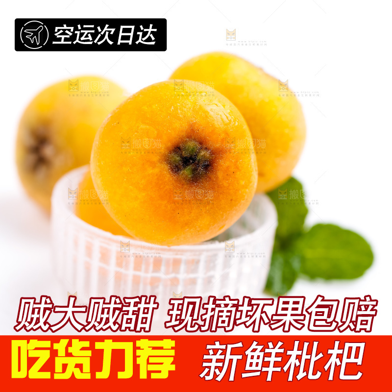 白底上放着枇杷果