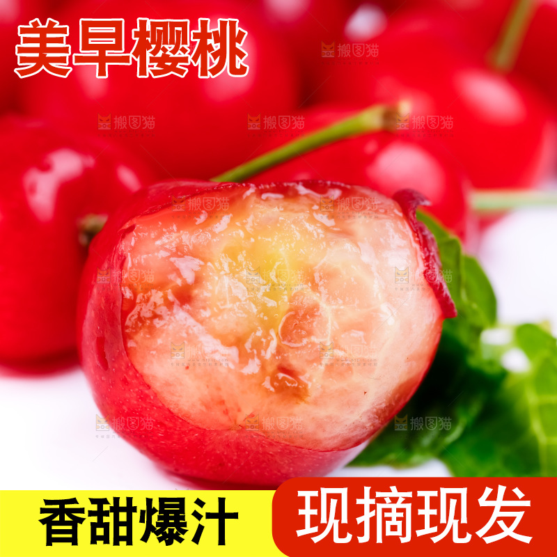 白底上的烟台樱桃