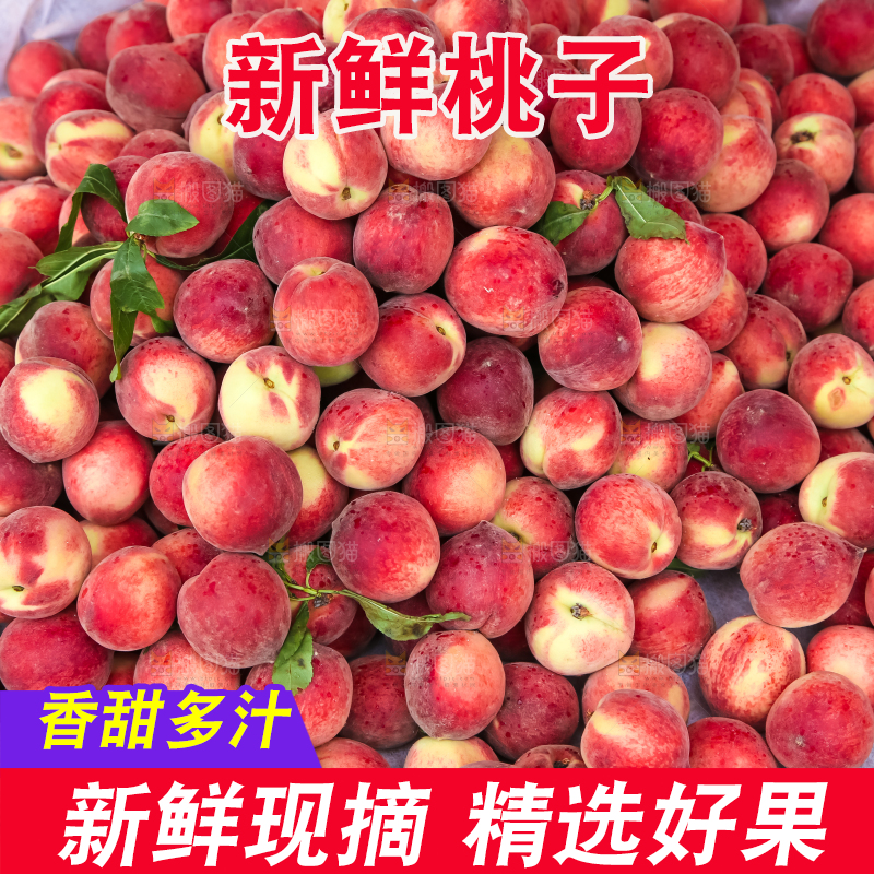 框子里装着毛桃