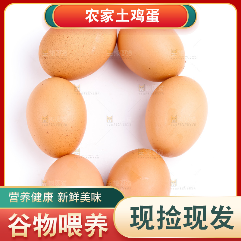 白底上放着散养鸡蛋