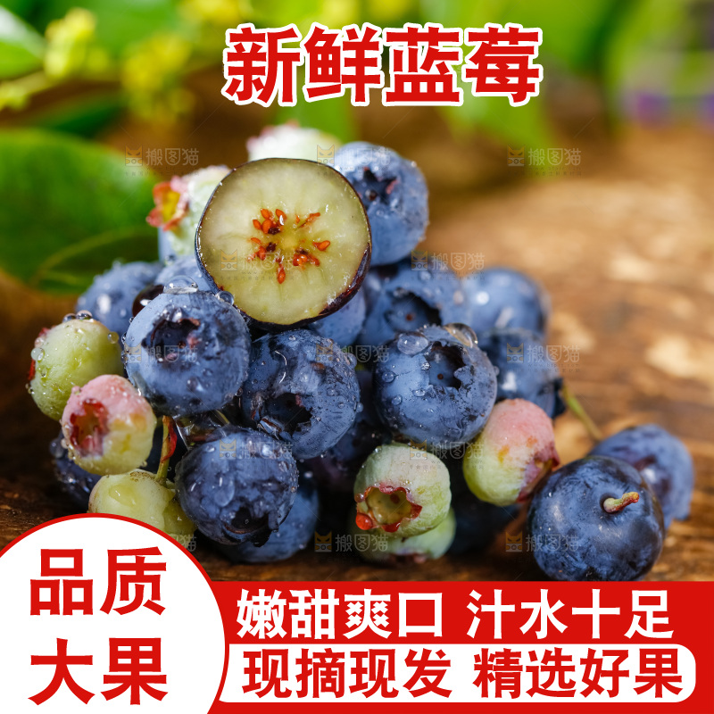 木底上放着山东蓝莓鲜果