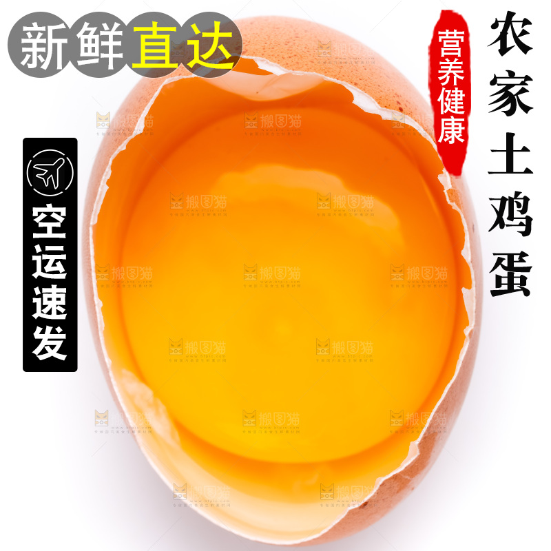 白底上的柴鸡蛋