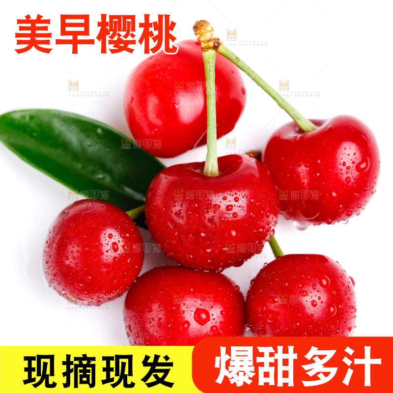 白底上的烟台樱桃