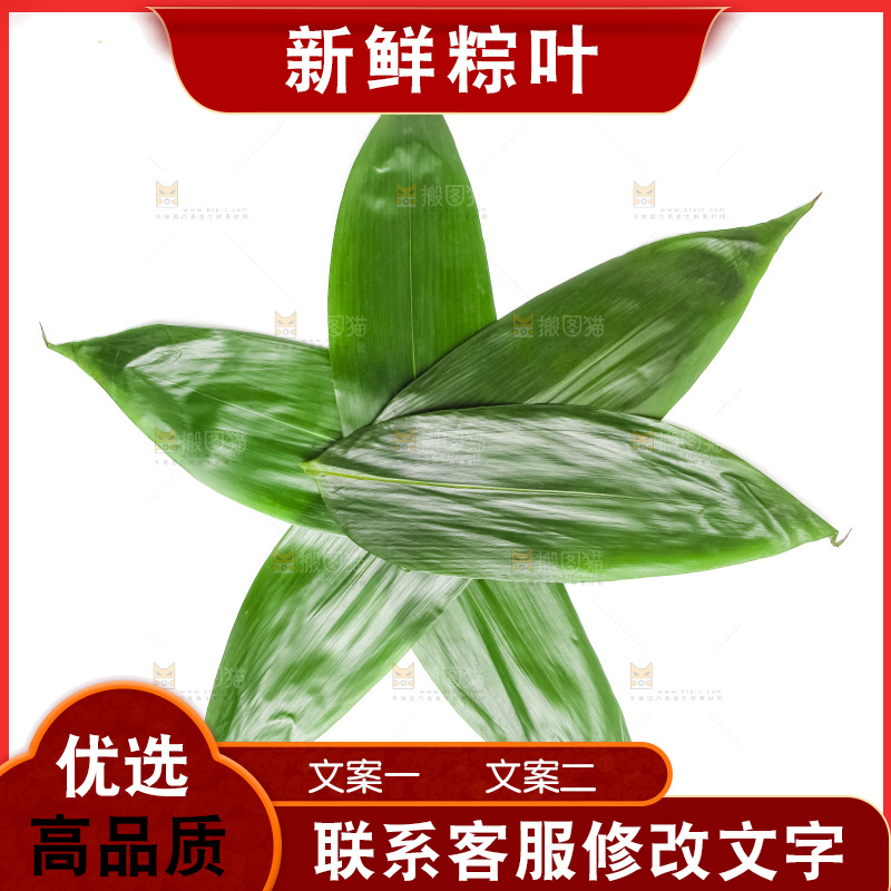 新鲜粽叶放在白底上