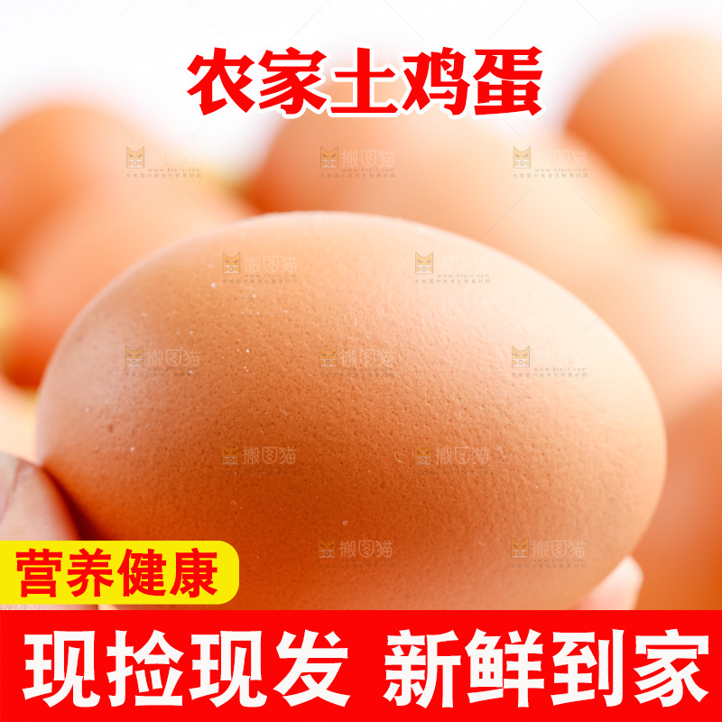 手拿鲜鸡蛋