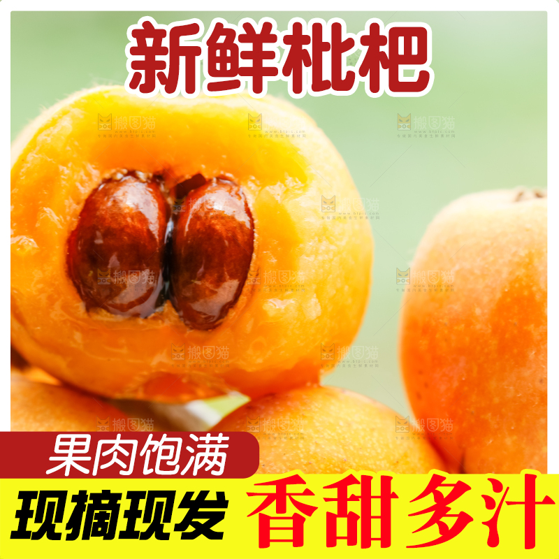 户外的枇杷果