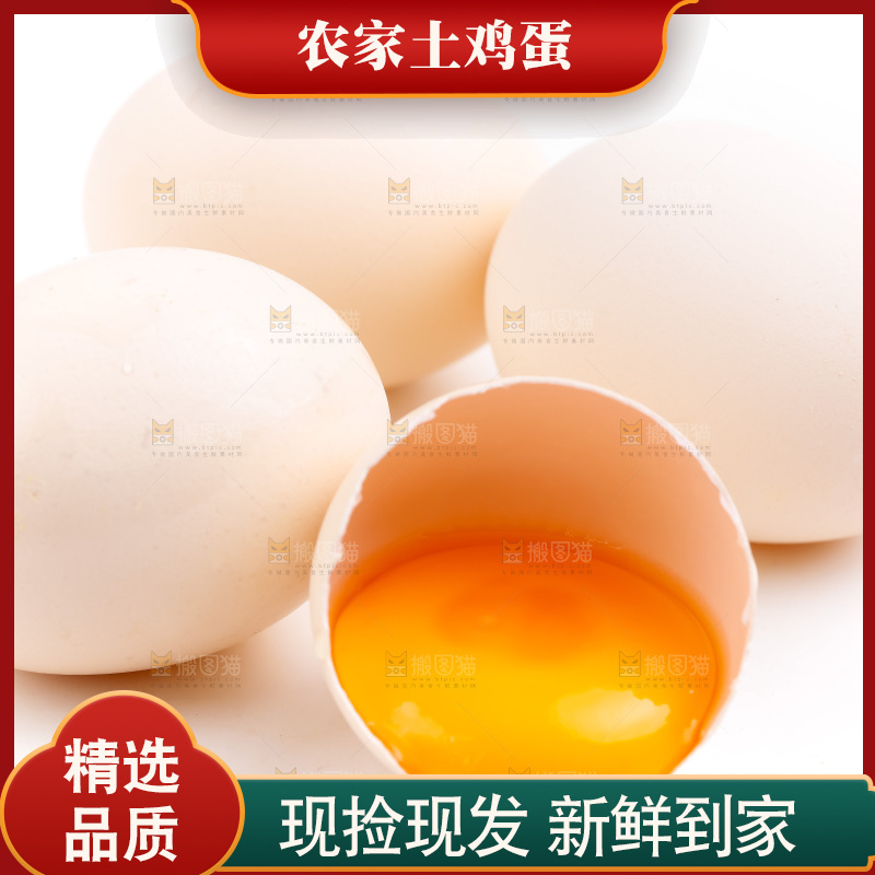 白底上的柴鸡蛋