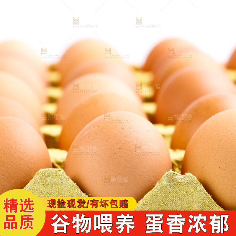 白底上放着一盘鲜鸡蛋