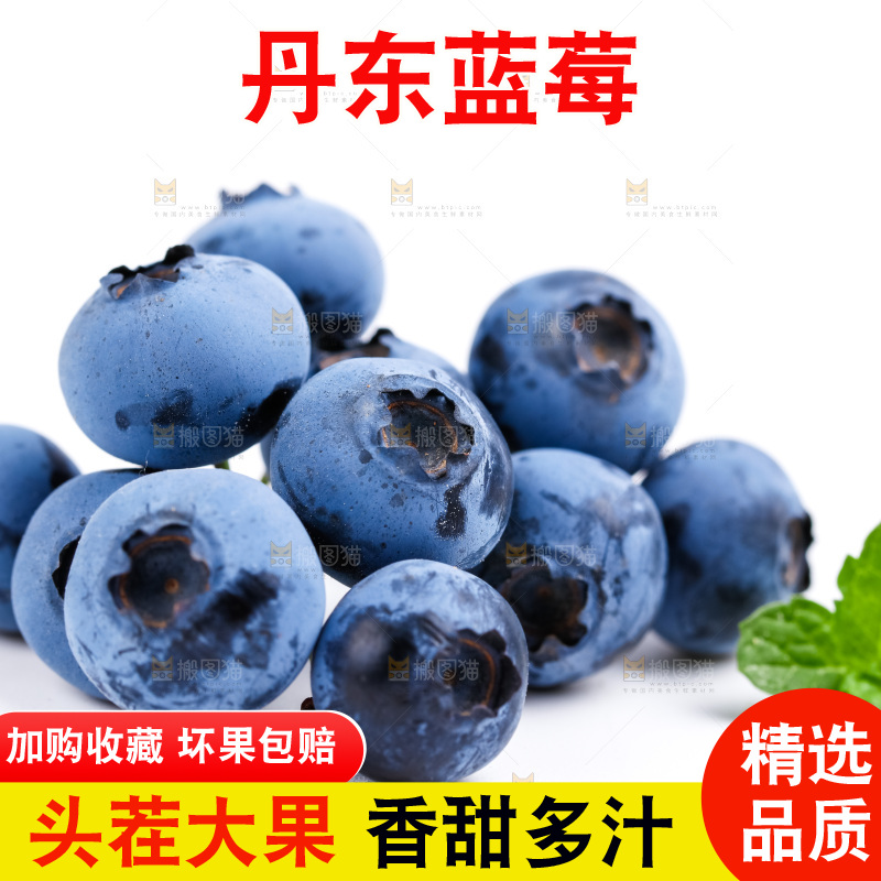 白底上摆放着蓝莓