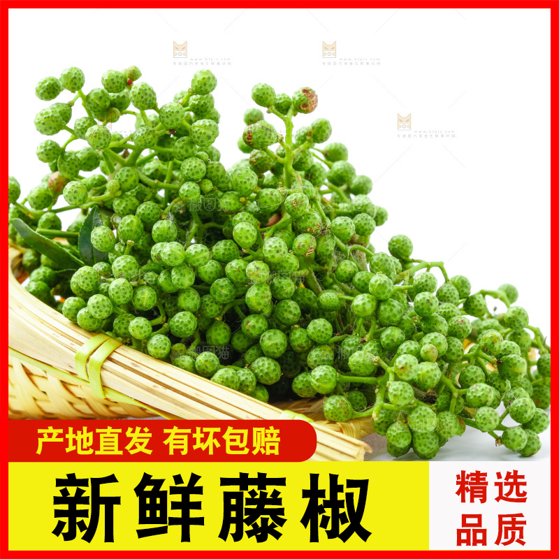 篮子里装着新鲜藤椒