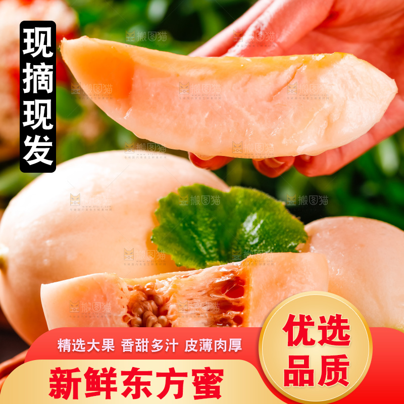 手拿东方蜜瓜切块