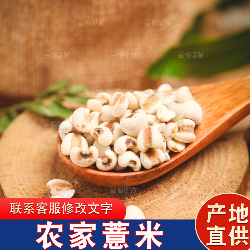 勺子里装着薏米