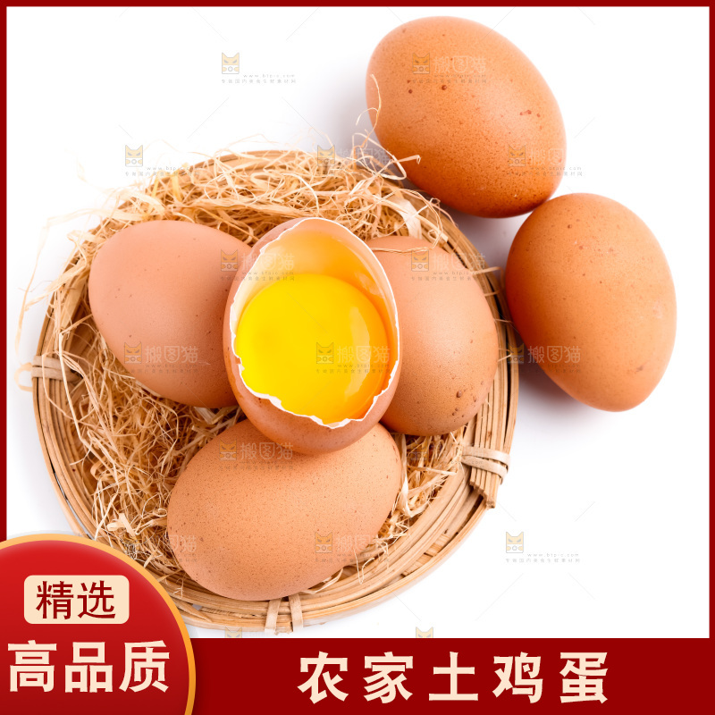 白底上的柴鸡蛋