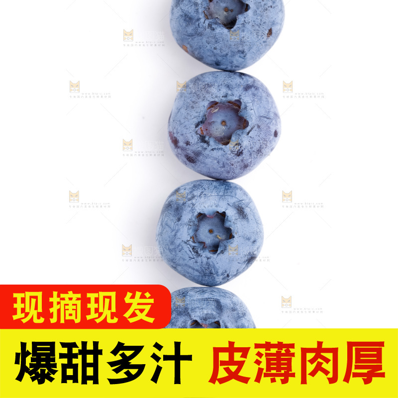 浅底上放着蓝莓果