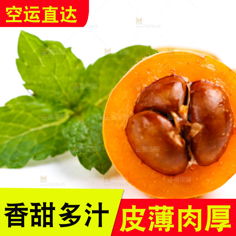 白底上放着枇杷果