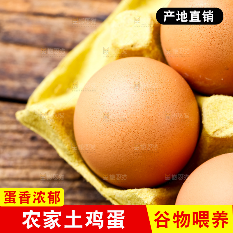 木底上放着新鲜鸡蛋