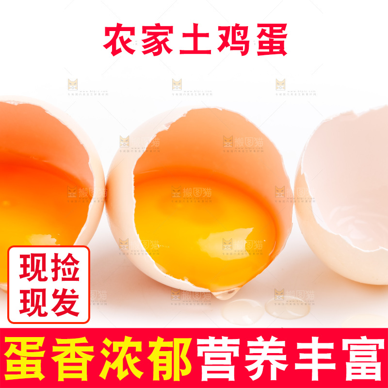白底上的柴鸡蛋