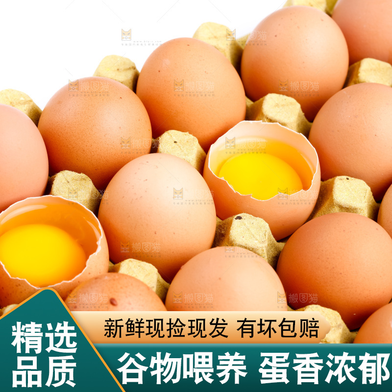 白底上的新鲜鸡蛋