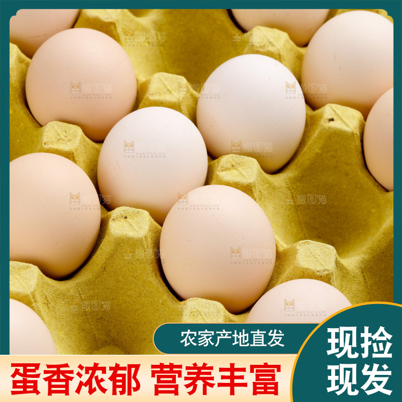 新鲜土鸡蛋放在白底上