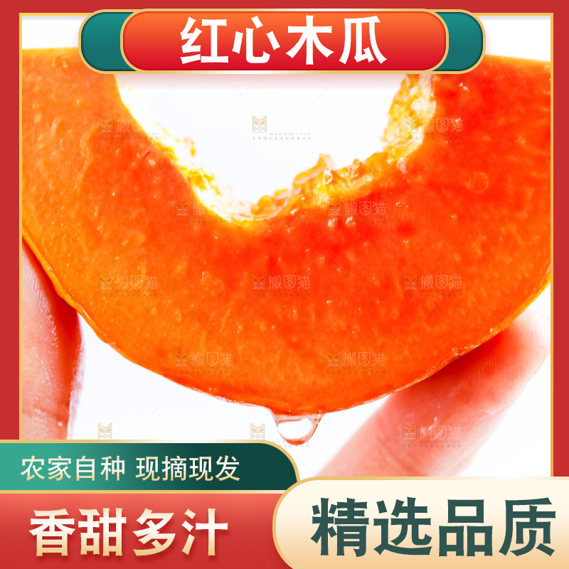手里拿着海南红心木瓜