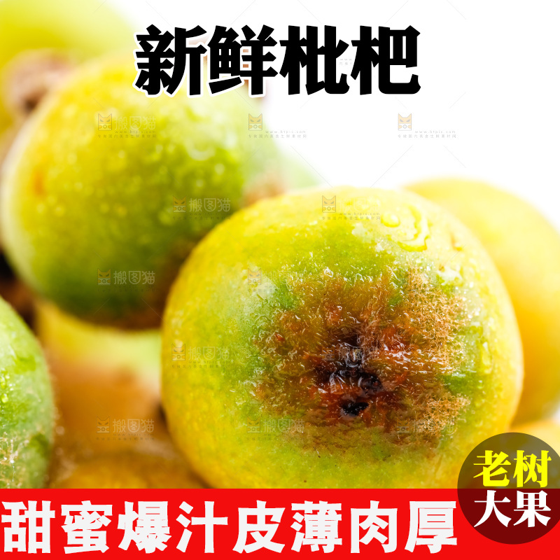 白底上放着枇杷果