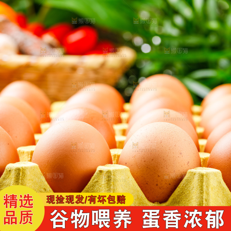 木底上放着新鲜鸡蛋